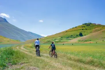 EASY TRANSFER