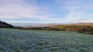EASY TRANSFER